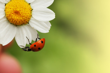 Similar image 649773