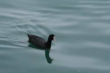 Similar image 649777