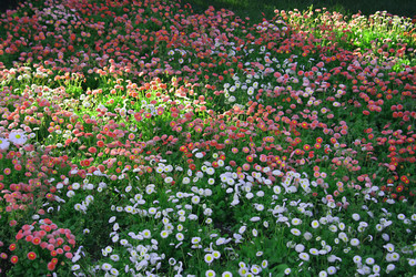 Similar image 649778