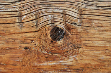 Similar image 649831