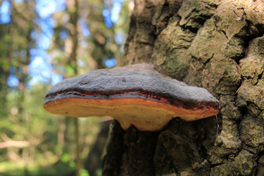 Similar image 649832