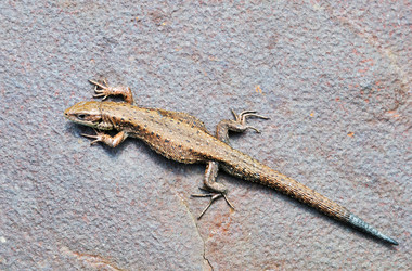 Similar image 649834