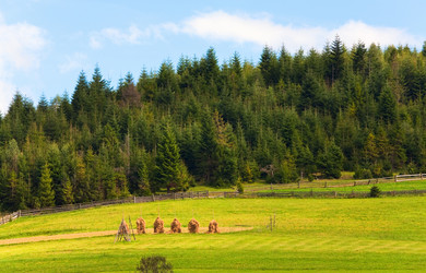 Similar image 649848