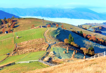 Similar image 649875