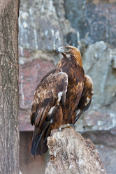 Similar image 649906