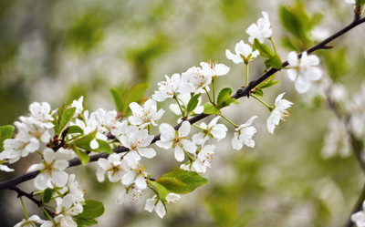 Similar image 649909