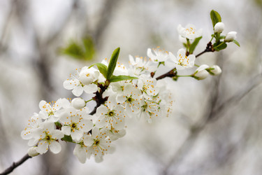 Similar image 649910