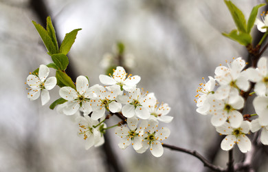 Similar image 649911