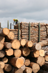 Similar image 649912