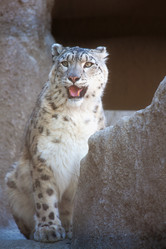 Similar image 649913