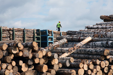 Similar image 649914