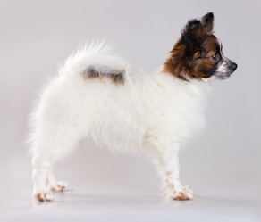 Similar image 649915