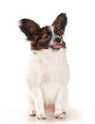 Similar image 649916