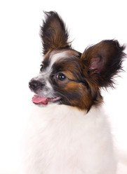 Similar image 649917