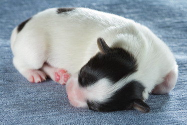 Similar image 649918