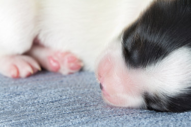 Similar image 649920