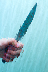 Similar image 649955