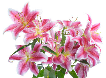 Similar image 649964