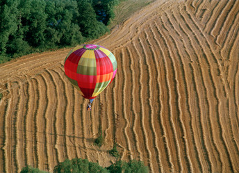 Similar image 649985