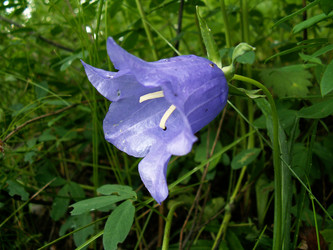 Similar image 649987