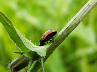 Similar image 649989