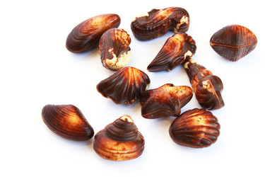 Similar image 650001