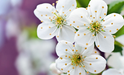 Similar image 650003