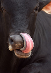 Similar image 650018