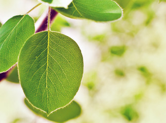 Similar image 650022