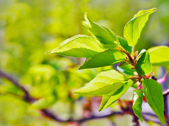 Similar image 650023