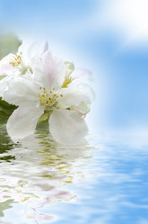 Similar image 650030