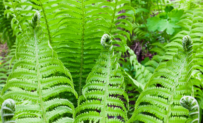 Similar image 650052