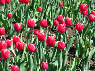 Similar image 650071