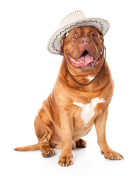 Similar image 650075