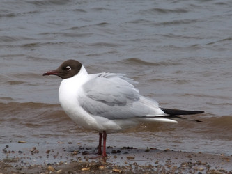 Similar image 650096