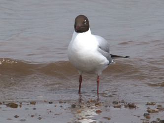 Similar image 650099