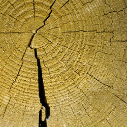 Similar image 650154