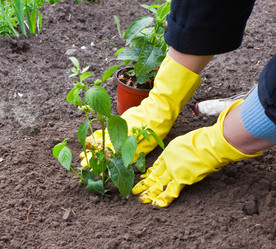 Similar image 650183