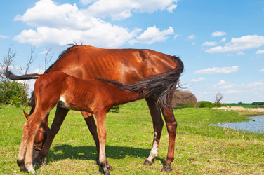 Similar image 650185