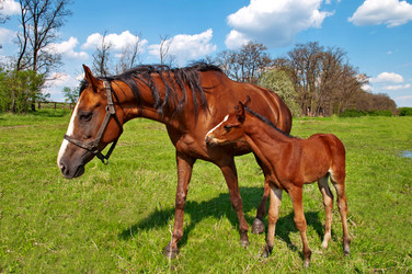 Similar image 650187