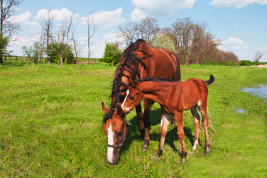 Similar image 650191