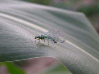 Similar image 650209