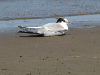 Similar image 650213