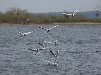 Similar image 650218