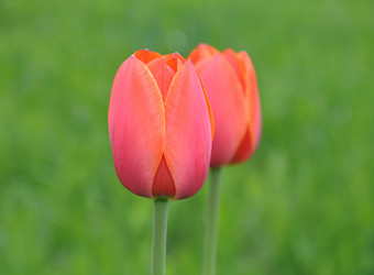 Similar image 650221