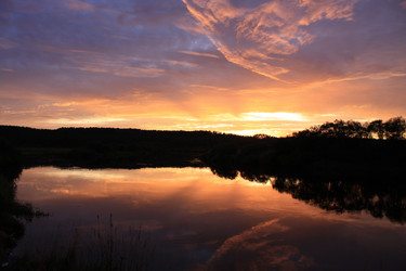 Similar image 650224