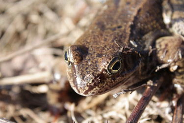 Similar image 650225