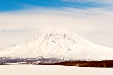 Similar image 650235