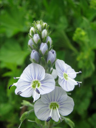 Similar image 650347