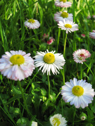 Similar image 650418